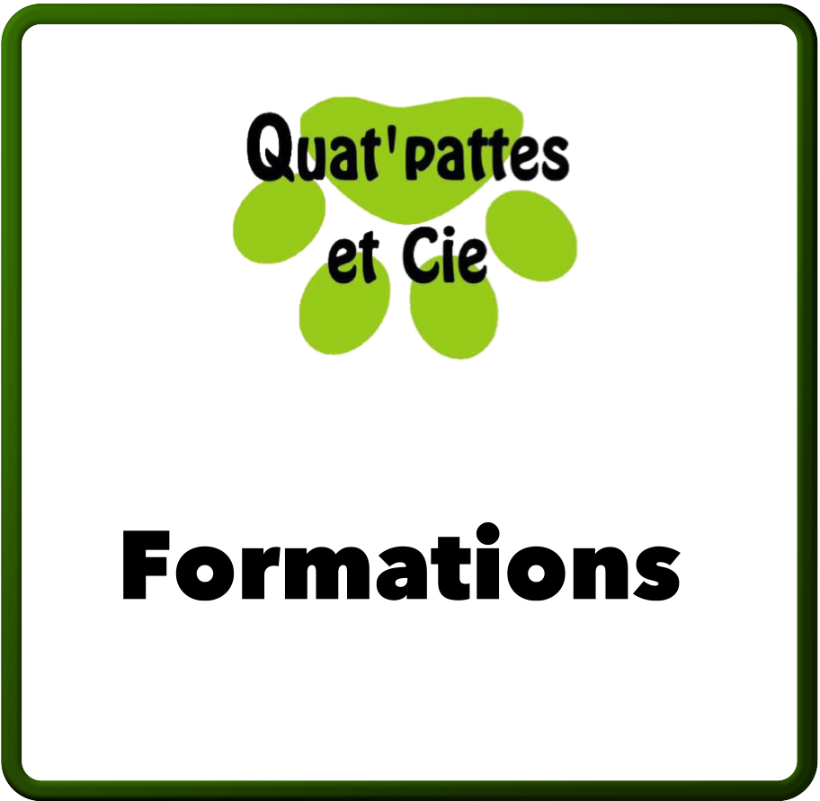 formationseducationcanine/